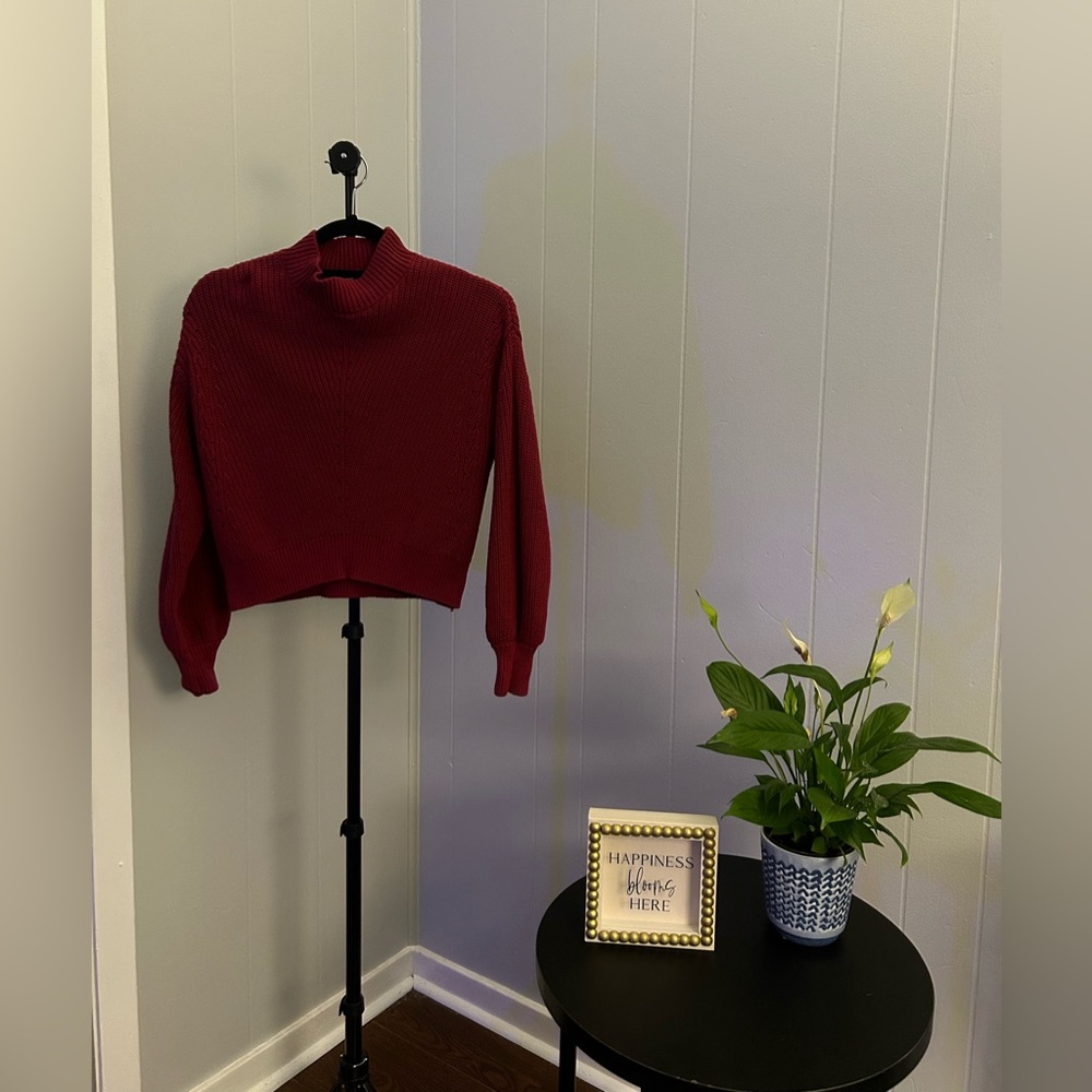 Maroon turtleneck crop sweater